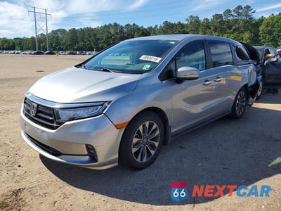 2024 HONDA ODYSSEY EXL 5FNRL6H60RB040121 - główne zdjęcie licytacji z USA - miniatura