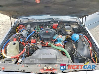 Zdjęcie 11 z 12 samochodu: 1989 CHEVROLET CAPRICE VIN:1G1BL5175KR232240 - miniatura