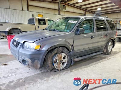 2007 FORD ESCAPE XLT 1FMYU03Z77KA44010 - główne zdjęcie licytacji z USA - miniatura