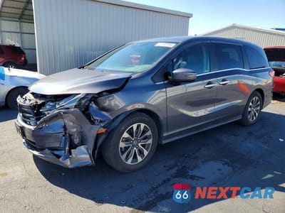 2021 HONDA ODYSSEY EXL 5FNRL6H71MB021563 - główne zdjęcie licytacji z USA - miniatura