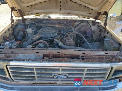 Zdjęcie 11 z 12 samochodu: 1985 FORD F150 VIN:1FTDF15Y4FNA40999 - miniatura
