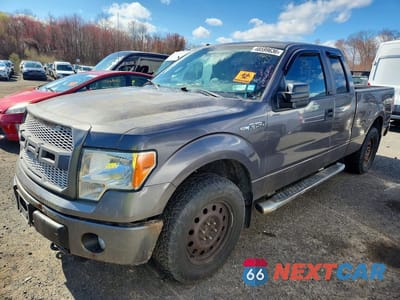 2013 FORD F150 SUPER CAB 1FTFX1EFXDKG38176 - główne zdjęcie licytacji z USA - miniatura