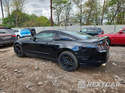 Drugie zdjęcie samochodu z przodu: 2014 FORD MUSTANG VIN:1ZVBP8AM2E5240372 - miniatura