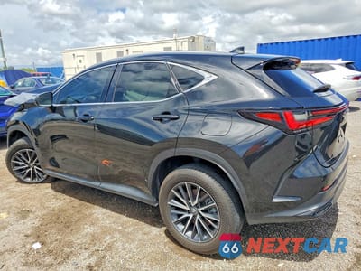 Drugie zdjęcie samochodu z przodu: 2024 LEXUS NX 250 BASE VIN:2T2ADCAZ2RC010874 - miniatura