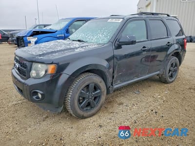 2011 FORD ESCAPE XLT 1FMCU9DG5BKC14952 - główne zdjęcie licytacji z USA - miniatura