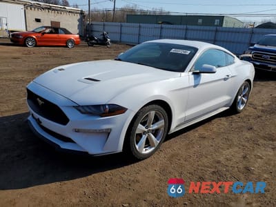 2019 FORD MUSTANG 1FA6P8TH4K5124256 - główne zdjęcie licytacji z USA - miniatura