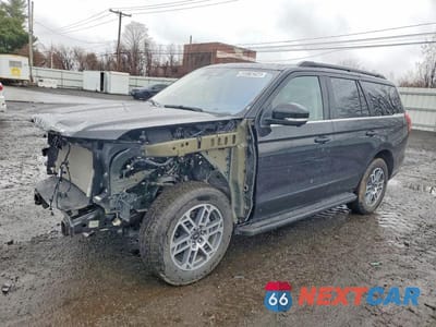 2025 FORD EXPEDITION ACTIVE 1FMJU1J87SEA42038 - główne zdjęcie licytacji z USA - miniatura