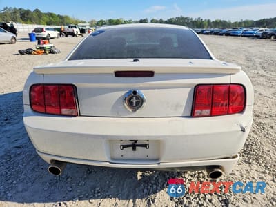Zdjęcie 6 z 12 samochodu: 2008 FORD MUSTANG VIN:1ZVHT80N885130849 - miniatura
