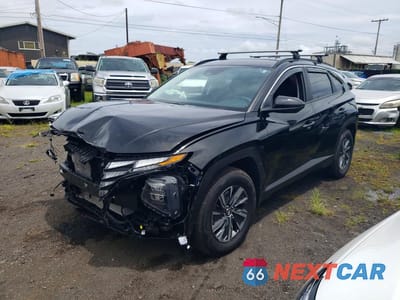 2024 HYUNDAI TUCSON BLUE KM8JBCD12RU237688 - główne zdjęcie licytacji z USA - miniatura