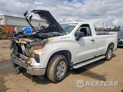 2023 CHEVROLET SILVERADO C1500 3GCNAAED7PG319289 - główne zdjęcie licytacji z USA - miniatura