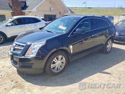 2012 CADILLAC SRX LUXURY COLLECTION 3GYFNDE31CS613676 - główne zdjęcie licytacji z USA - miniatura