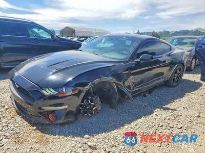 2020 FORD MUSTANG 1FA6P8TH0L5163279 - główne zdjęcie licytacji z USA - miniatura