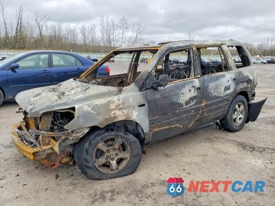 2008 HONDA PILOT EXL 5FNYF18518B042875 - główne zdjęcie licytacji z USA - miniatura