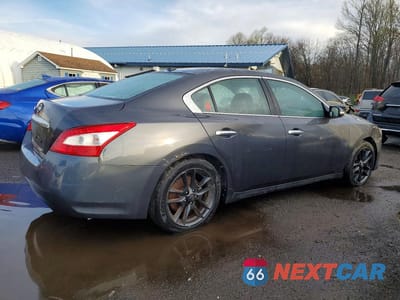 Trzecie zdjęcie samochodu z tyłu: 2010 NISSAN MAXIMA 3.5 S VIN:1N4AA5AP1AC857508 - miniatura