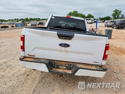 Zdjęcie 6 z 12 samochodu: 2019 FORD F150 SUPERCREW VIN:1FTEW1CP2KKE33541 - miniatura