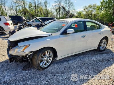 2011 NISSAN MAXIMA 3.5 S 1N4AA5AP9BC834656 - główne zdjęcie licytacji z USA - miniatura