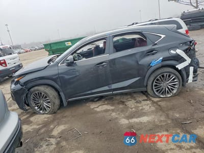2021 LEXUS NX 300 BASE JTJDARDZ5M5031813 - główne zdjęcie licytacji z USA - miniatura
