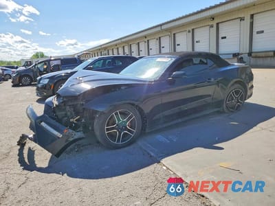 2019 FORD MUSTANG 1FATP8UH3K5188404 - główne zdjęcie licytacji z USA - miniatura