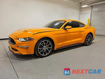 2019 FORD MUSTANG 1FA6P8TH6K5186497 - główne zdjęcie licytacji z USA - miniatura
