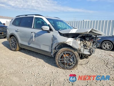 Czwarte zdjęcie samochodu z boku: 2025 KIA TELLURIDE EX X-LINE VIN:5XYP3DGCXSG599323 - miniatura