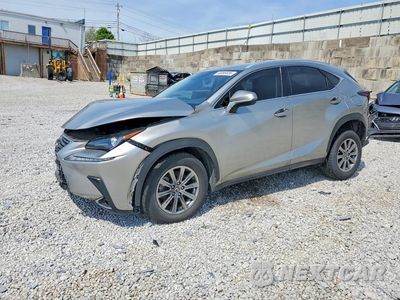 2020 LEXUS NX 300 BASE JTJAARBZ2L5013886 - główne zdjęcie licytacji z USA - miniatura