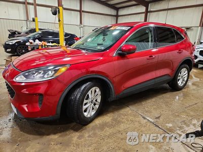 2020 FORD ESCAPE SE 1FMCU9G66LUA90280 - główne zdjęcie licytacji z USA - miniatura