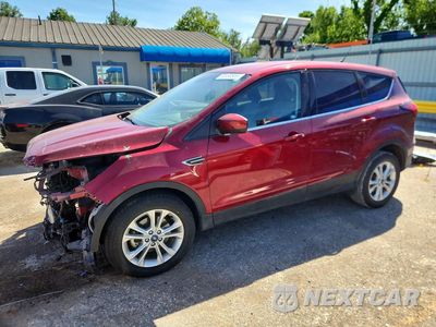 2019 FORD ESCAPE SE 1FMCU0GD3KUA34869 - główne zdjęcie licytacji z USA - miniatura