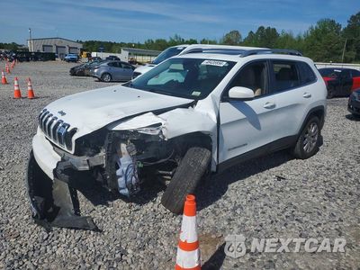 2017 JEEP CHEEROKEE 1C4PJLDS2HW540399 - główne zdjęcie licytacji z USA - miniatura