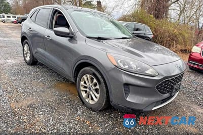 2021 FORD ESCAPE SE 1FMCU9G64MUA36252 - główne zdjęcie licytacji z USA - miniatura