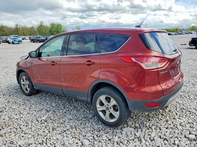 Drugie zdjęcie samochodu z przodu: 2014 FORD ESCAPE SE VIN:1FMCU0G98EUD64958 - miniatura