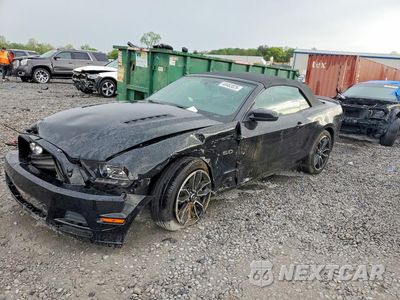 2014 FORD MUSTANG GT 1ZVBP8FF8E5332919 - główne zdjęcie licytacji z USA - miniatura