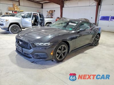 2024 FORD MUSTANG 1FA6P8TH7R5118638 - główne zdjęcie licytacji z USA - miniatura