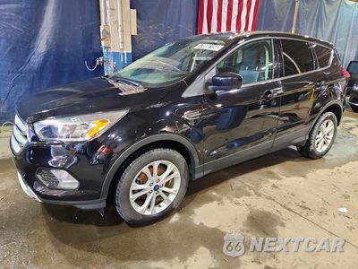 2019 FORD ESCAPE SE 1FMCU0GD5KUA16082 - główne zdjęcie licytacji z USA - miniatura