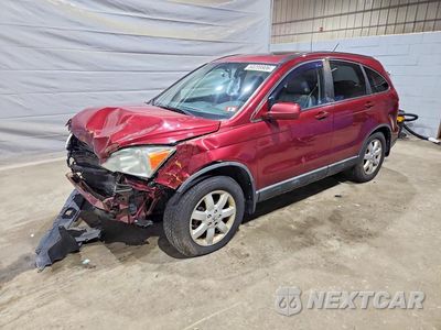 2009 HONDA CR-V EXL 5J6RE48769L043250 - główne zdjęcie licytacji z USA - miniatura