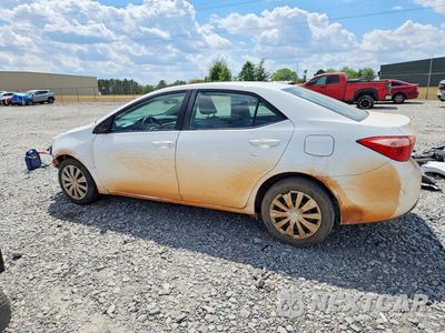 Drugie zdjęcie samochodu z przodu: 2018 TOYOTA COROLLA LE VIN:5YFBURHE7JP808743 - miniatura
