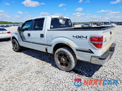 Drugie zdjęcie samochodu z przodu: 2012 FORD F150 SUPERCREW VIN:1FTFW1EF3CFB48186 - miniatura