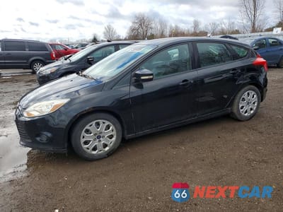 2013 FORD FOCUS SE 1FADP3K2XDL293042 - główne zdjęcie licytacji z USA - miniatura