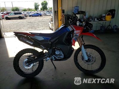 2025 HONDA CRF300 LRA MLHND1648S5401728 - główne zdjęcie licytacji z USA - miniatura