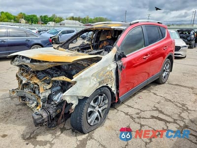 2016 TOYOTA RAV4 LE JTMBFREV6GJ094504 - główne zdjęcie licytacji z USA - miniatura