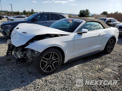 2019 FORD MUSTANG 1FATP8UH5K5148681 - główne zdjęcie licytacji z USA - miniatura