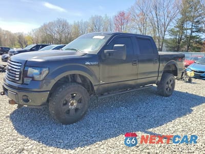 2009 FORD F150 SUPERCREW 1FTPW14V69FA74350 - główne zdjęcie licytacji z USA - miniatura