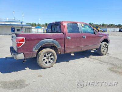 Trzecie zdjęcie samochodu z tyłu: 2010 FORD F150 SUPERCREW VIN:1FTEW1E85AFA45474 - miniatura