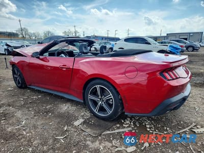 Drugie zdjęcie samochodu z przodu: 2024 FORD MUSTANG VIN:1FAGP8UH7R5131859 - miniatura