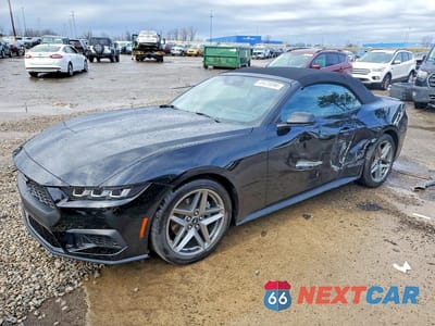 2024 FORD MUSTANG 1FAGP8UH8R5106243 - główne zdjęcie licytacji z USA - miniatura