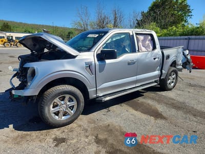 2025 FORD F150 XLT 1FTEW3LP8SKE12754 - główne zdjęcie licytacji z USA - miniatura