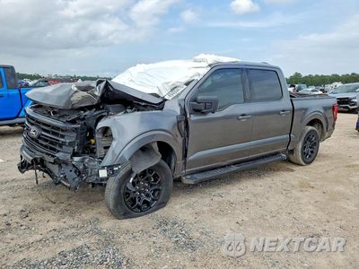 2024 FORD F150 XLT 1FTEW3KP3RKF02938 - główne zdjęcie licytacji z USA - miniatura