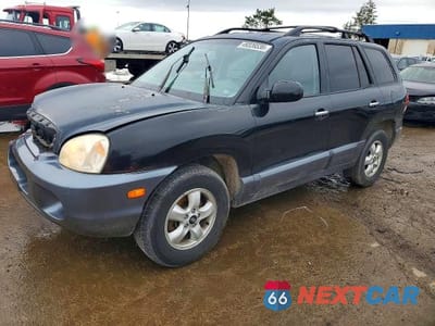 2005 HYUNDAI SANTA FE GLS KM8SC73E55U877708 - główne zdjęcie licytacji z USA - miniatura