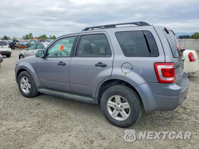 Drugie zdjęcie samochodu z przodu: 2008 FORD ESCAPE HEV VIN:1FMCU49H78KA61665 - miniatura