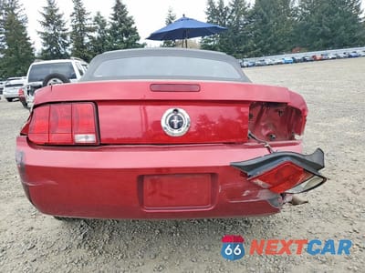 Zdjęcie 6 z 12 samochodu: 2005 FORD MUSTANG VIN:1ZVFT84N955202770 - miniatura