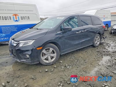 2019 HONDA ODYSSEY EXL 5FNRL6H78KB087668 - główne zdjęcie licytacji z USA - miniatura